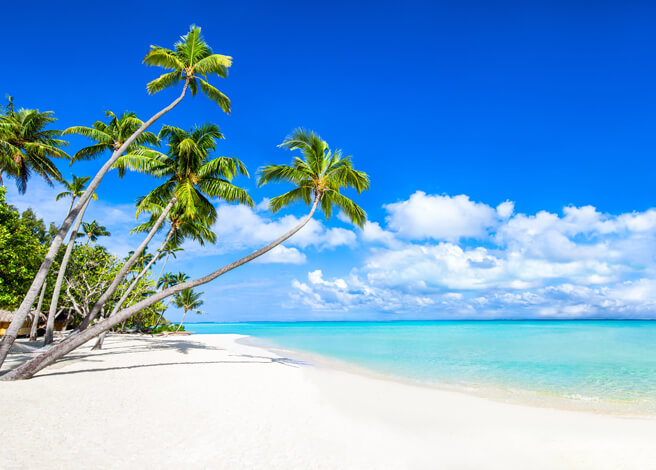 CRM Basisseminar Block 2 – München, 21./22.10.2026 (hybrid)