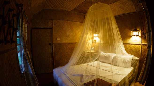 evgenii_v/stock.adobe.com