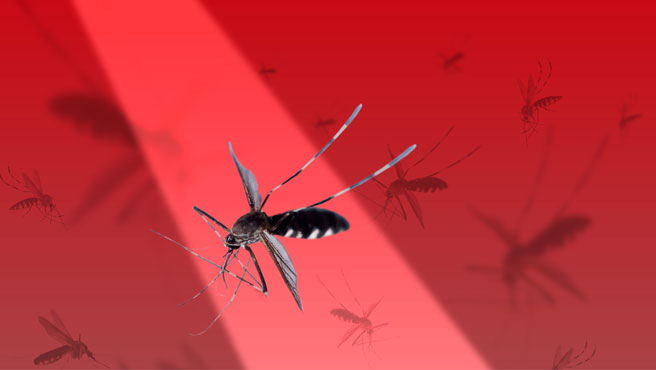 Kwangmoozaa/stock.adobe.com